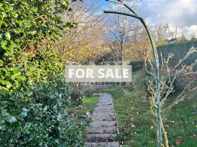Detached House with Garden and Pond