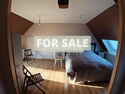 Detached Country House with Outbuilding