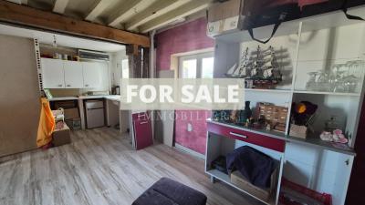 Habitable French Village House with Character