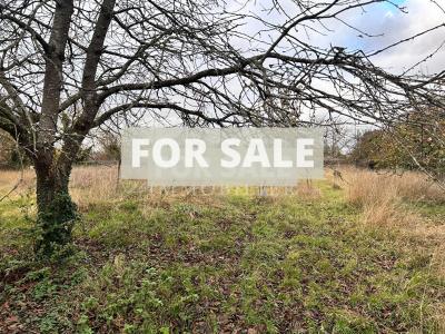 Beautiful Detached House in the Countryside