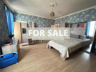 Manor House with Terrace and Garden