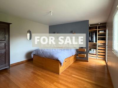 Contemporary Detached House