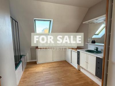 Contemporary Detached House