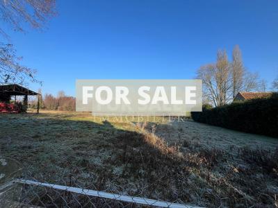 Countryside Manor House with Character and Outbuildings