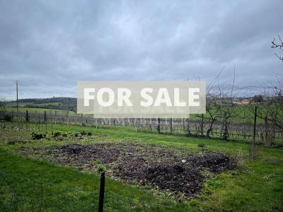 Detached Country House with Open Views