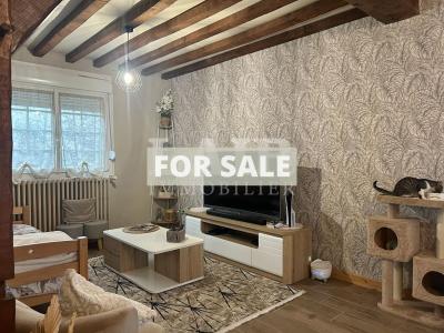 Detached House with Garden