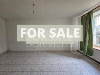 Countryside Longere Style Property with Land