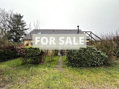 Architect Designed Detached House and Garden