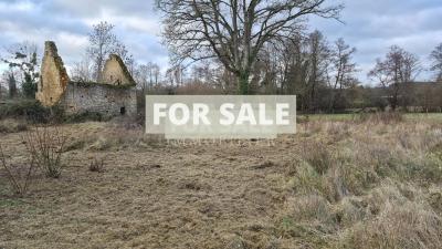 Detached Country House with Outbuilding