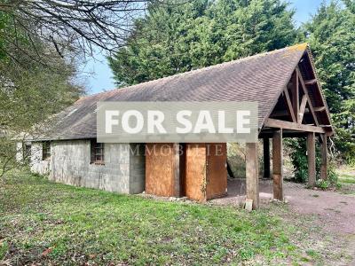 Detached Country House with Outbuildings and Land