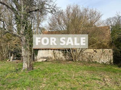Detached Country House with Outbuildings and Land