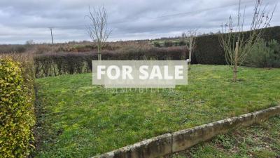 Traditional House with Garden