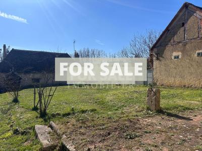 Large House with Character in Rural Village