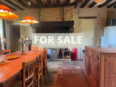 Detached Country House with Lake and Land