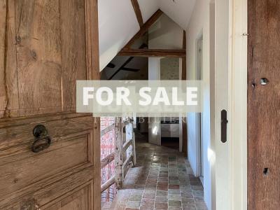 Detached Country House with Lake and Land