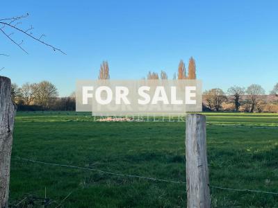 Detached Country House with Lake and Land