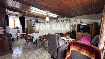 Detached Country House with Pond and Land