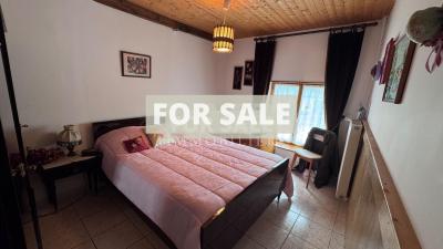 Detached Country House with Pond and Land