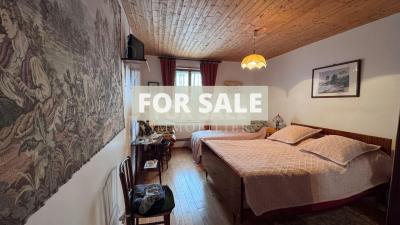 Detached Country House with Pond and Land