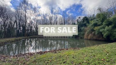 Detached Country House with Pond and Land