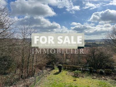 Large Manor House Style Property