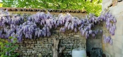 Beautiful Farmhouse With Outbuildings And Mature Floral Courtyard