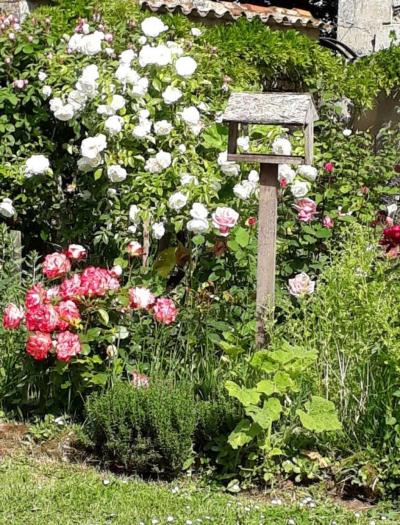 Beautiful Farmhouse With Outbuildings And Mature Floral Courtyard