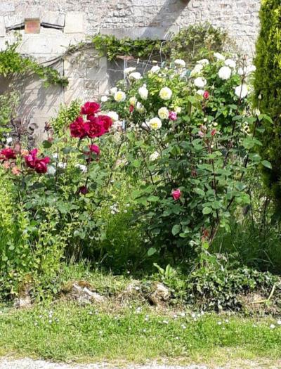 Beautiful Farmhouse With Outbuildings And Mature Floral Courtyard