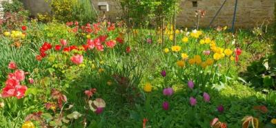 Beautiful Farmhouse With Outbuildings And Mature Floral Courtyard