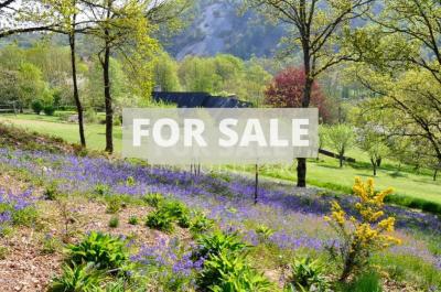 Detached Country House with Landscaped Garden