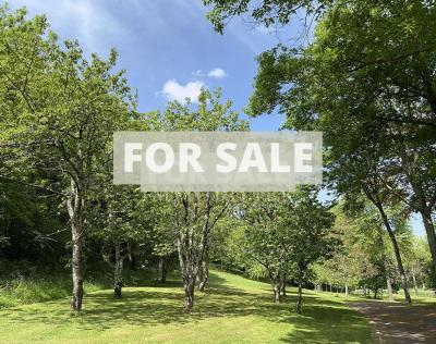 Detached Country House with Landscaped Garden