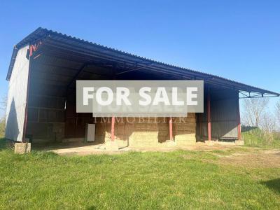 Main House and Several Outbuildings