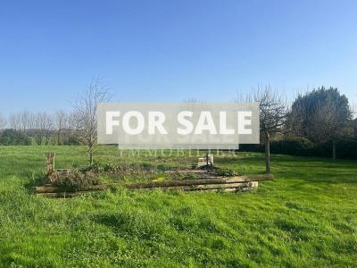 Main House and Several Outbuildings
