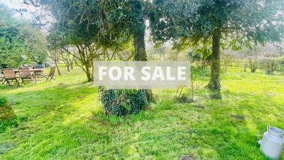 Beautiful House with Lovely Interiors