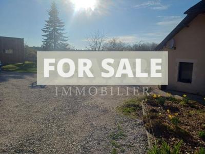 Detached House with Landscaped Garden