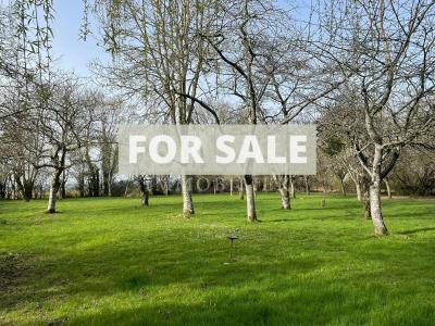 Detached Country House with Open Views