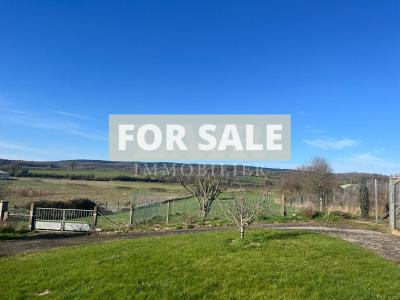 Impressive Detached House with Landscaped Garden