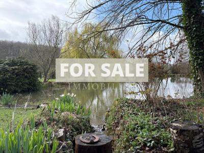 Detached House with Lake in Landscaped Garden