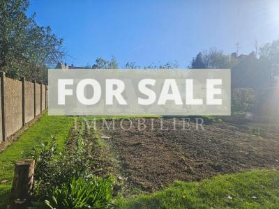 Village House with Character and Garden