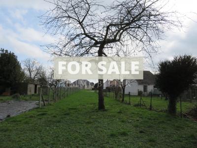 Village House Offering Fantastic Family Home