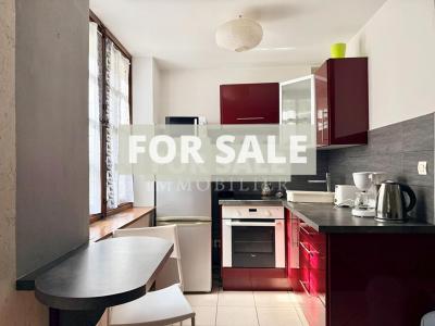 Apartment in the Heart of Alencon