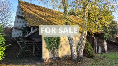 Countryside House with Outbuildings to Renovate
