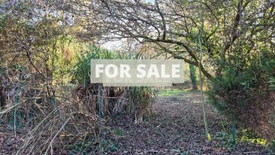 Countryside House with Outbuildings to Renovate