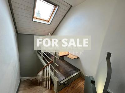 Town House with Neat Garden