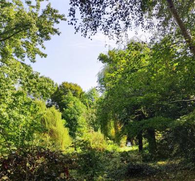 Farmhouse With Pool, Guest Apartments, 1.2 Hectares