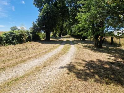 Chateau Plus a House, Outbuildings in 6 Hectares