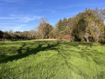 Detached Longere by the Banks for the River Charente