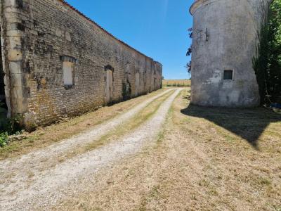 Chateau Plus a House, Outbuildings in 6 Hectares