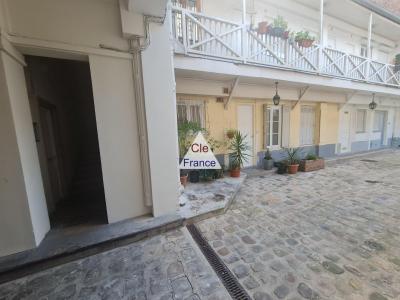 Studette Grandes Carrieres