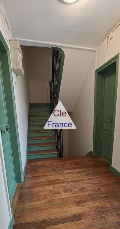 Studette Grandes Carrieres